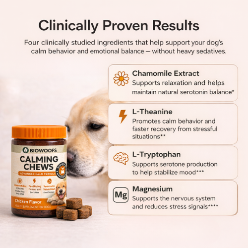calming chews
