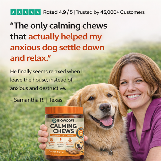 calming chews