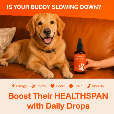 Biowoofs Longevity Protocol
