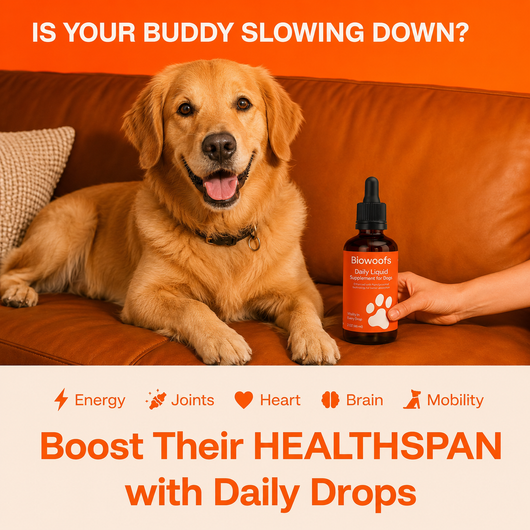 Biowoofs Longevity Protocol