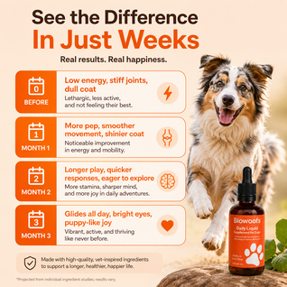 Biowoofs Longevity Protocol