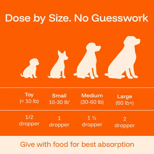 Biowoofs Longevity Protocol