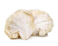 Lion’s Mane Mushroom